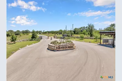 Lot 90 Blackbuck Ridge Drive, Lampasas, TX 76550 - Photo 12
