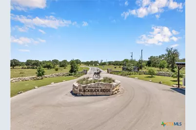 Lot 90 Blackbuck Ridge Drive, Lampasas, TX 76550 - Photo 1
