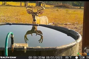 20440 Brooking Rd, Killeen, TX 76542 - Photo 18