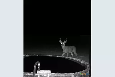 20440 Brooking Road, Killeen, TX 76542 - Photo 20