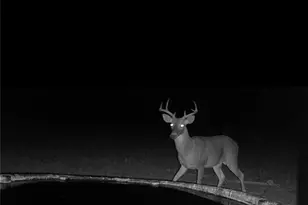 20440 Brooking Rd, Killeen, TX 76542 - Photo 20