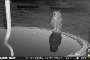 20440 Brooking Rd, Killeen, TX 76542 - Photo 16