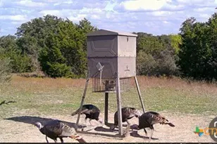 20440 Brooking Rd, Killeen, TX 76542 - Photo 20