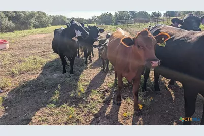 20440 Brooking Road, Killeen, TX 76542 - Photo 22