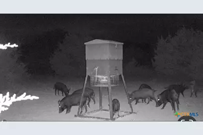 20440 Brooking Road, Killeen, TX 76542 - Photo 18