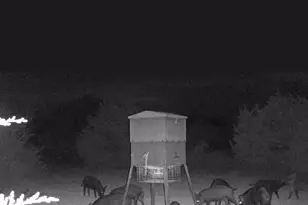 20440 Brooking Rd, Killeen, TX 76542 - Photo 18