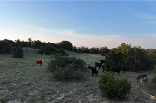 20440 Brooking Rd, Killeen, TX 76542 - Photo 12