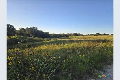 149 Guadalupe Drive, Oglesby, TX 76561 - Photo 2