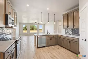 2533 Tin Barn Bluff, Belton, TX 76513 - Photo 4