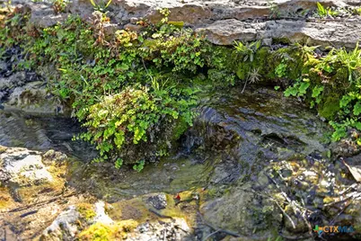 111 La Luna Drive, Blanco, TX 78606 - Photo 6