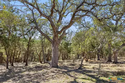 111 La Luna Drive, Blanco, TX 78606 - Photo 8