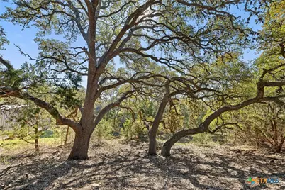 111 La Luna Drive, Blanco, TX 78606 - Photo 2