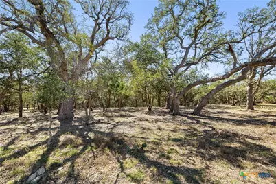 111 La Luna Drive, Blanco, TX 78606 - Photo 24