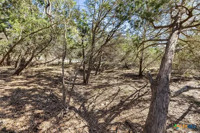 111 La Luna Drive, Blanco, TX 78606 - Photo 18