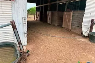 880 County Rd 3100, Kempner, TX 76539 - Photo 26