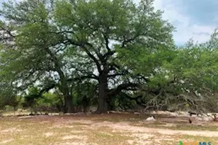 880 County Rd 3100, Kempner, TX 76539 - Photo 24