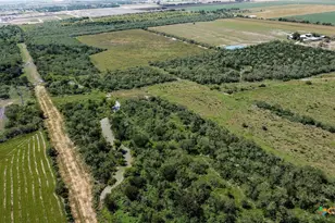 Tbd E Fm 78, Marion, TX 78124 - Photo 10