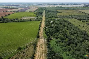 Tbd E Fm 78, Marion, TX 78124 - Photo 8