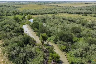 Tbd E Fm 78, Marion, TX 78124 - Photo 12