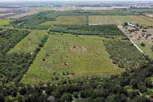 Tbd E Fm 78, Marion, TX 78124 - Photo 4