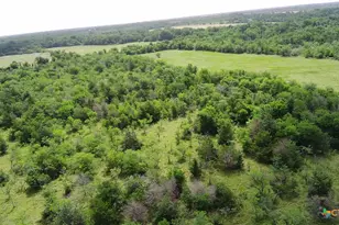 Tbd Lcr 663, Kosse, TX 76653 - Photo 8