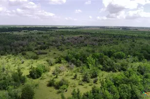 Tbd Lcr 663, Kosse, TX 76653 - Photo 10