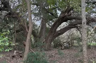 2082 FM318, Hallettsville, TX 77964 - Photo 36