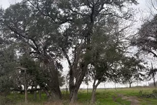 2082 FM318, Hallettsville, TX 77964 - Photo 42