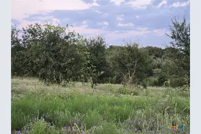 165 Guadalupe Drive, Oglesby, TX 76561 - Photo 4