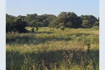 165 Guadalupe Drive, Oglesby, TX 76561 - Photo 1