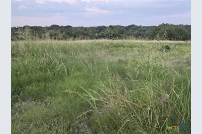 165 Guadalupe Drive, Oglesby, TX 76561 - Photo 2