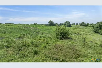 Tbd Moss Springs Road, Kosse, TX 76653 - Photo 16