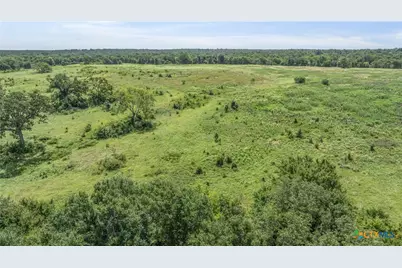 Tbd Moss Springs Road, Kosse, TX 76653 - Photo 14