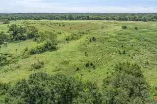 Tbd Moss Springs Rd, Kosse, TX 76653 - Photo 14