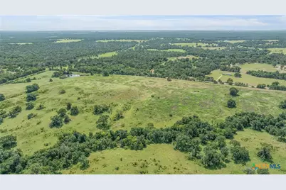 Tbd Moss Springs Road, Kosse, TX 76653 - Photo 10