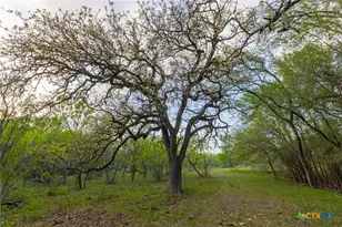 Tbd 120 Acres Old Seguin Luling Rd, Seguin, TX 78155 - Photo 16