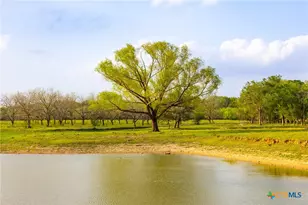 Tbd 120 Acres Old Seguin Luling Rd, Seguin, TX 78155 - Photo 14