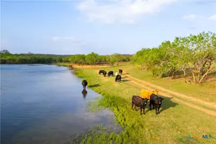 Tbd 120 Acres Old Seguin Luling Rd, Seguin, TX 78155 - Photo 22