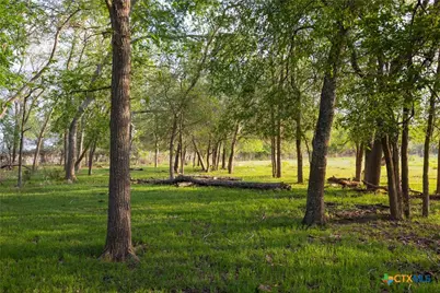 Tbd 120 Acres Old Seguin Luling Road, Seguin, TX 78155 - Photo 4