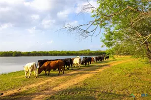 Tbd 120 Acres Old Seguin Luling Rd, Seguin, TX 78155 - Photo 8