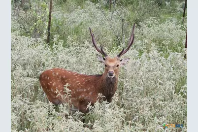 Tbd 120 Acres Old Seguin Luling Road, Seguin, TX 78155 - Photo 30