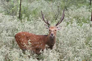 Tbd 120 Acres Old Seguin Luling Rd, Seguin, TX 78155 - Photo 30