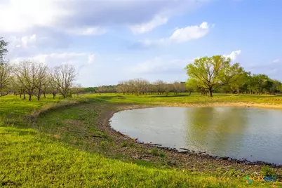 Tbd 120 Acres Old Seguin Luling Road, Seguin, TX 78155 - Photo 10