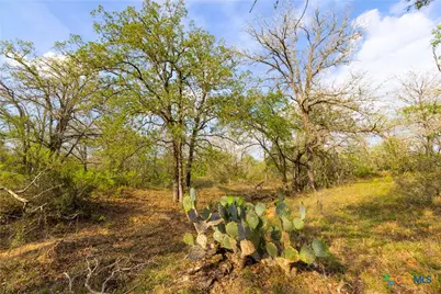 Tbd 67 Acres Old Seguin Luling Rd, Seguin, TX 78155 - Photo 20