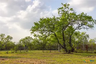 Tbd 67 Acres Old Seguin Luling Rd, Seguin, TX 78155 - Photo 18