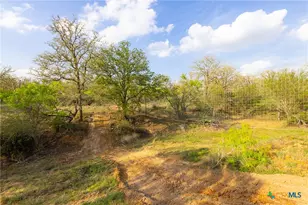 Tbd 67 Acres Old Seguin Luling Rd, Seguin, TX 78155 - Photo 16