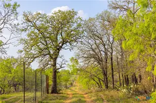 Tbd 67 Acres Old Seguin Luling Rd, Seguin, TX 78155 - Photo 6