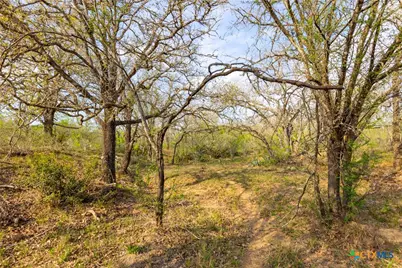 Tbd 67 Acres Old Seguin Luling Rd, Seguin, TX 78155 - Photo 14