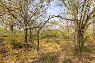 Tbd 67 Acres Old Seguin Luling Rd, Seguin, TX 78155 - Photo 14