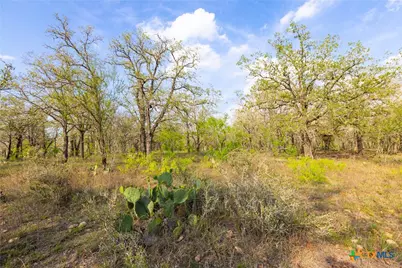 Tbd 67 Acres Old Seguin Luling Rd, Seguin, TX 78155 - Photo 22